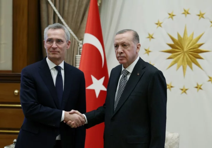 NATO chief urges Turkey not to veto Sweden's bid