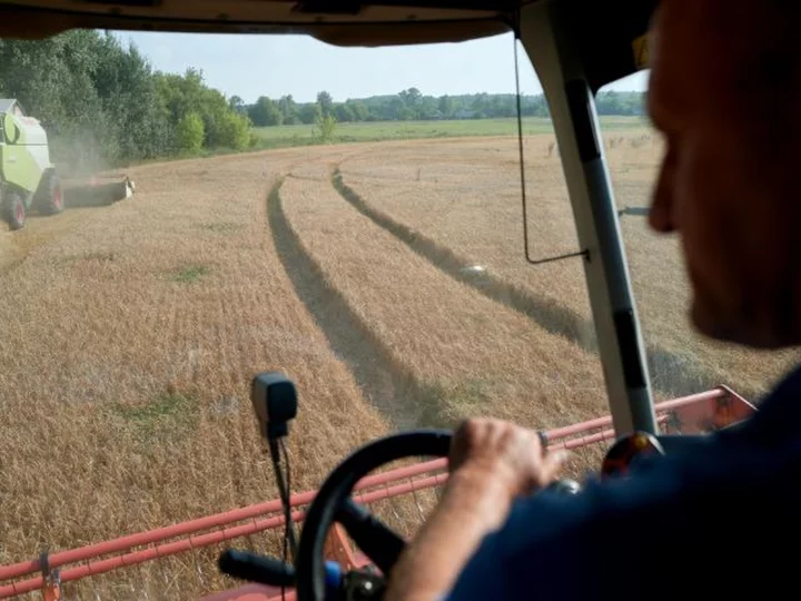 Poland, Slovakia, and Hungary to defy EU and extend ban on Ukrainian grain imports