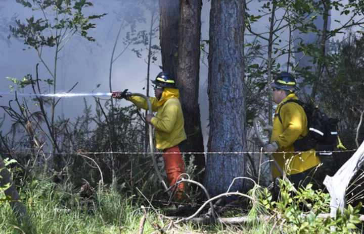 How to help or donate in response to the deadly wildfire in Maui