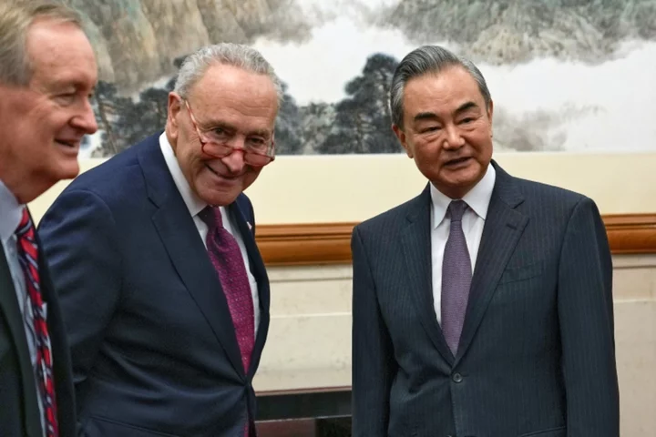 Top US senator Schumer meets Chinese foreign minister