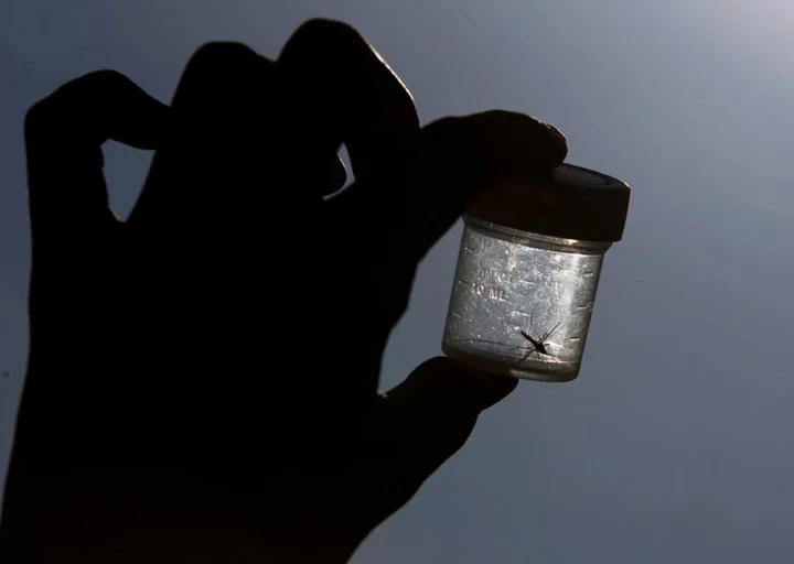 First U.S. malaria cases diagnosed in decades in Florida and Texas