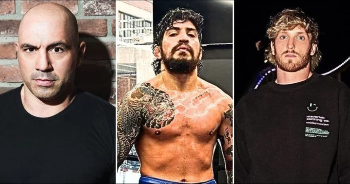 Dillon Danis calls out Joe Rogan despite earning praise for trolling Logan Paul: 'That’s messed up'