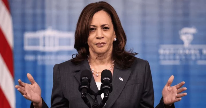 Paranoid and afraid: New book delves into 'Rabbit Ears' Kamala Harris' farcical term as VP