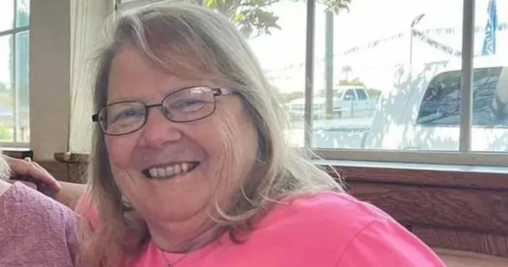 Ann Herford: Search efforts underway for 66-year-old Michigan nurse who disappeared during hiking trip