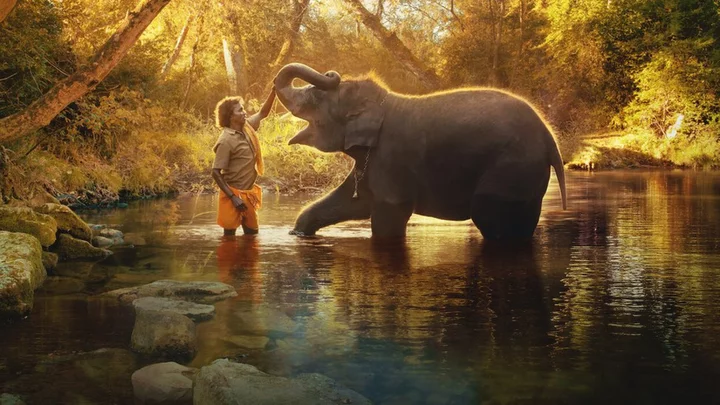Elephant Whisperers: Indian couple in Oscar-winning elephant film sue makers