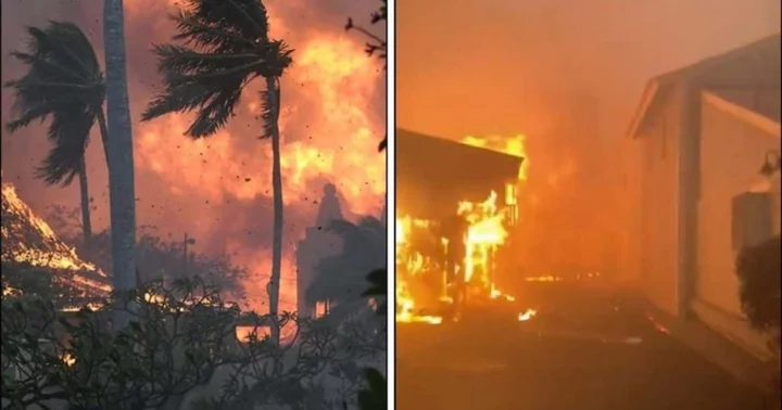 Maui land grab by real estate 'predators' sparks outrage as island still reels from wildfires and death toll mounts