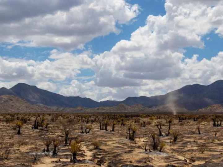 York Fire burning in California and Nevada is now 93% contained