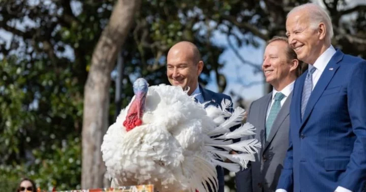 Here's what happens to turkeys pardoned on Thanksgiving at the White House