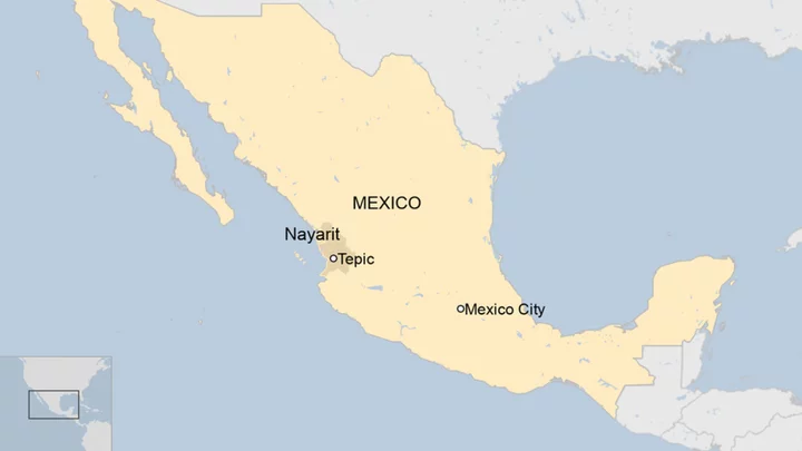 Mexico bus crash: 15 dead in Nayarit ravine plunge