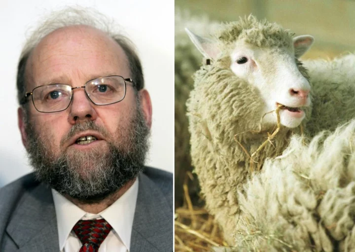 Scientist who led team that created Dolly the cloned sheep dies at 79