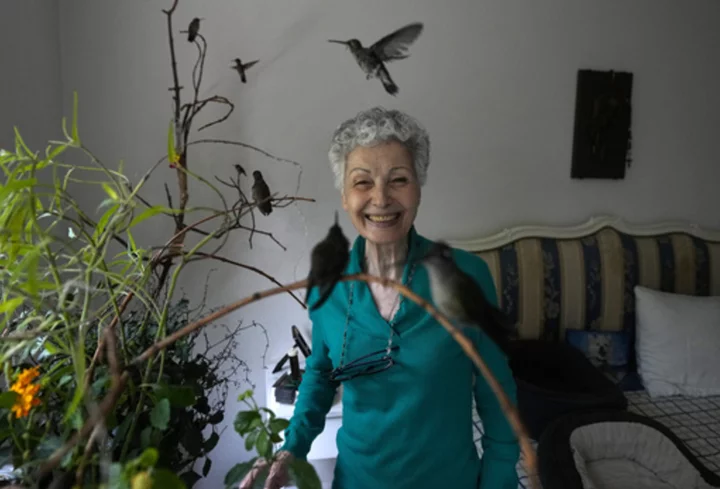 A woman in Mexico City heals hummingbirds, and gets healing in return