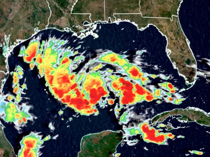 Texas under tropical storm warning for storm expected Tuesday morning