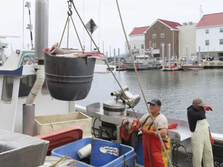 As US East Coast ramps up offshore wind power projects, much remains unknown