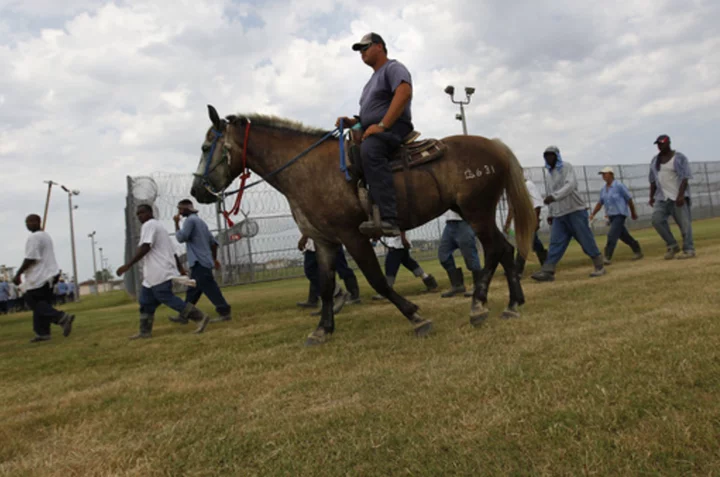 Louisiana prisoner suit claims they’re forced to endure dangerous conditions at Angola prison farm