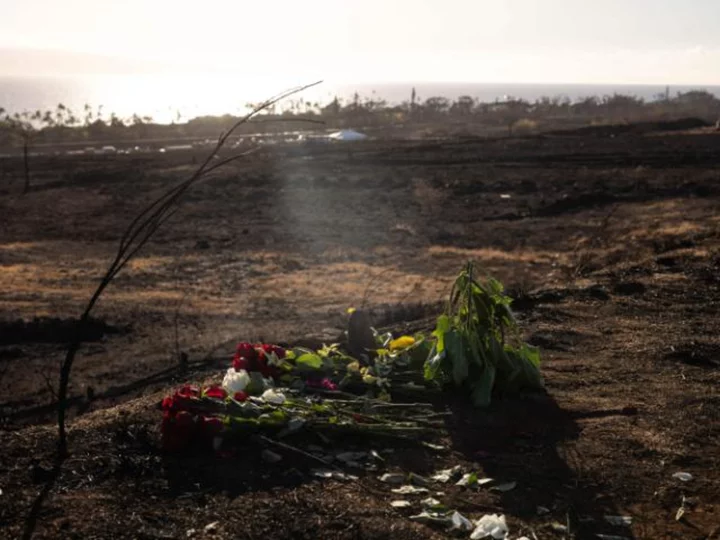 Advanced DNA testing prompts officials to revise Maui fires death toll to 97, down from 115