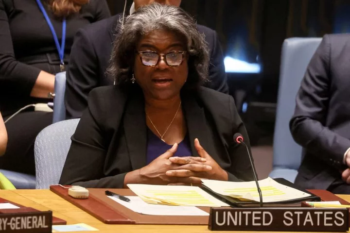 U.S. supports UN Security Council action to de-escalate Niger situation