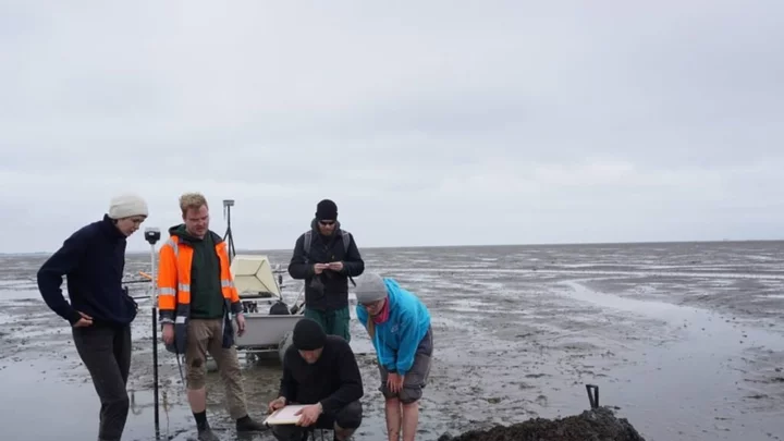 Remains of the 'Atlantis of the North Sea' discovered in Germany