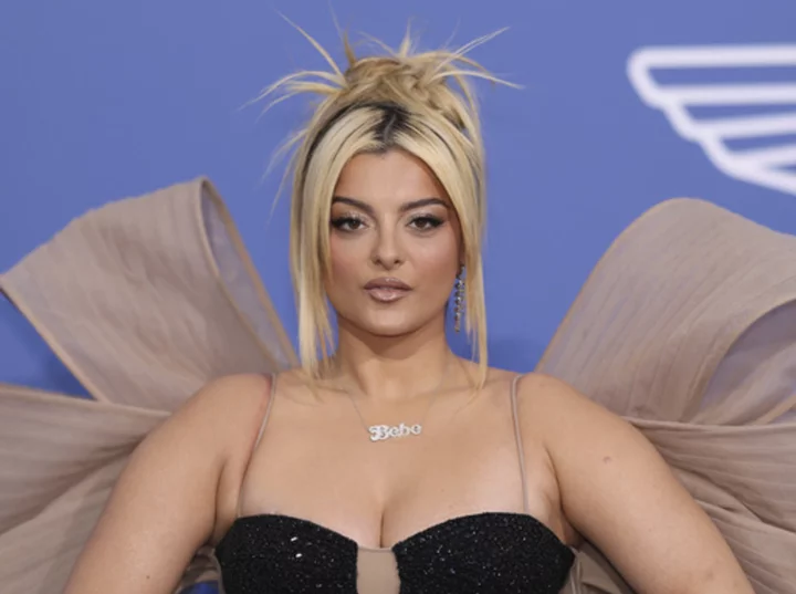 Singer Bebe Rexha says she's OK after being hit in the face on stage by thrown phone