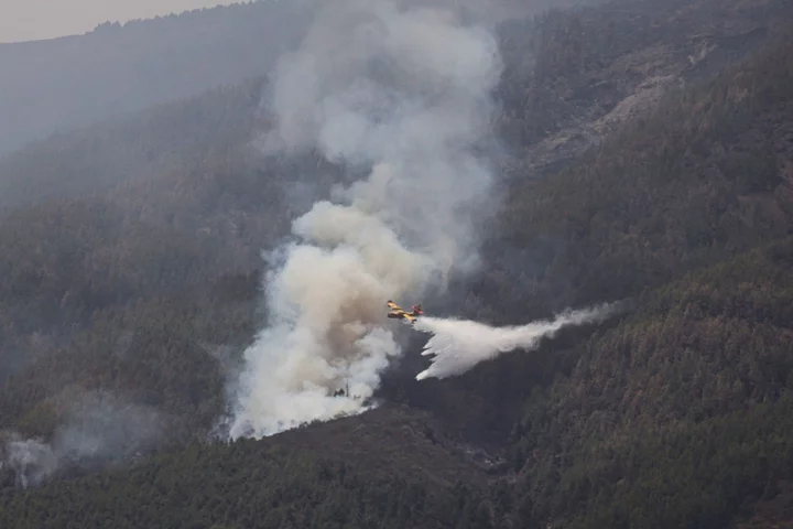 Thousands evacuated as wildfires hit Spanish tourist island