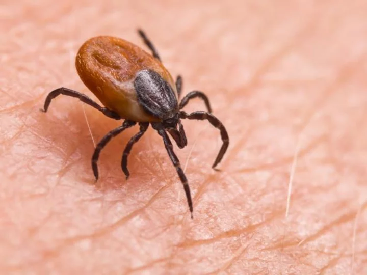 First travel-related death from rare tick-borne virus recorded in Maryland, health official says