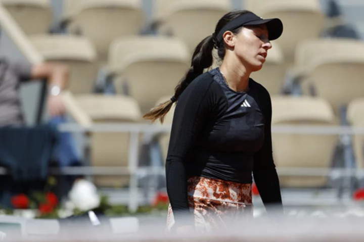 Novak Djokovic laments fans who 'boo every single thing' after lengthy French Open win