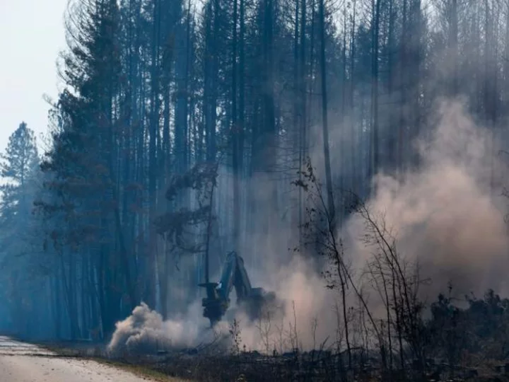 'Persistent bear activity' forces wildfire crews to leave campsite in British Columbia, officials say