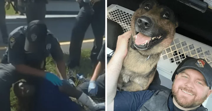 Who is Jadarrius Rose? Bodycam footage shows moment police dog brutally mauls truck driver during Ohio chase