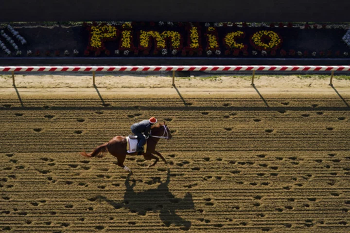 Mage faces a tough challenge in the Preakness in pursuit of a second Triple Crown win