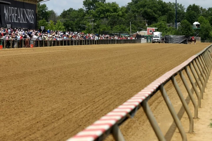 Baffert-trained horse euthanized, jockey hospitalized after Preakness Day injury