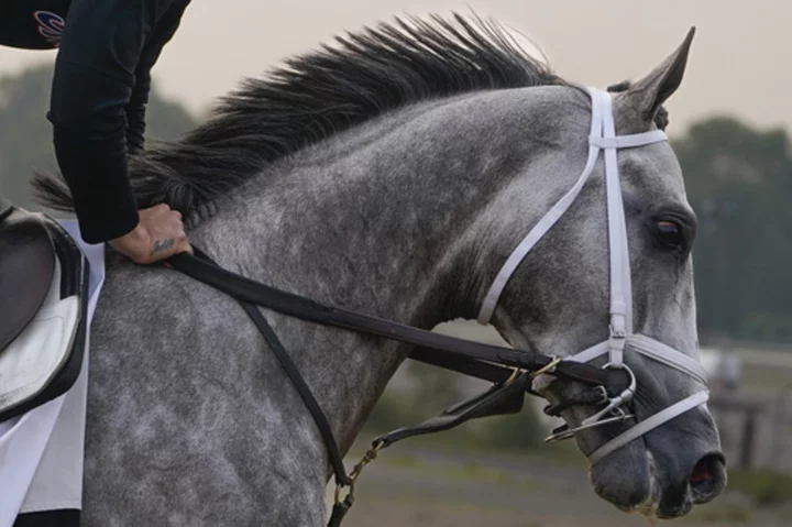 With Arcangelo, Jena Antonucci to become the 11th female trainer to have a horse in Belmont Stakes