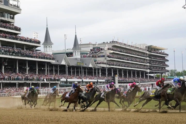 Panel finds no single factor in horse deaths at Churchill Downs. More screening is suggested