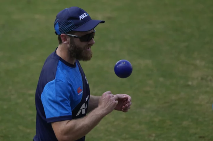 Netherlands wins toss, sends high-flying New Zealand into bat at Cricket World Cup