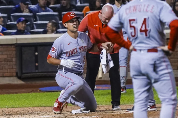 Reds catcher Luke Maile scratched with sore hand, day after hit by pitch