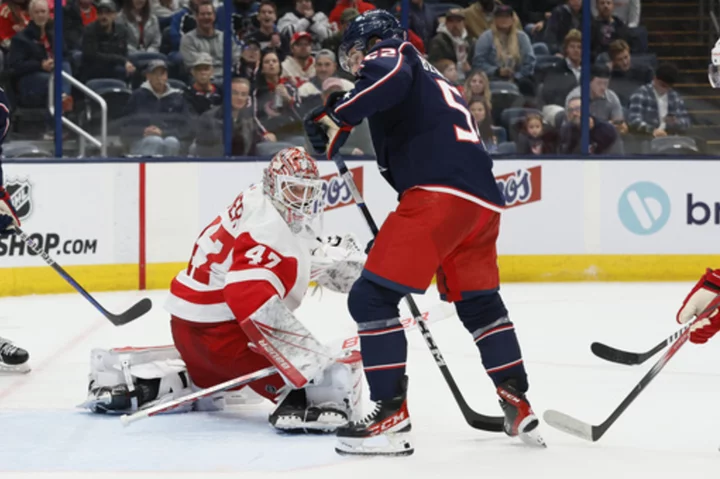 James Reimer stops 23 shots to help lift the Red Wings past the Blue Jackets 4-0