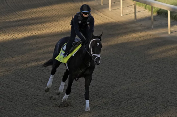 Forte works out, waits for Belmont Stakes clearance