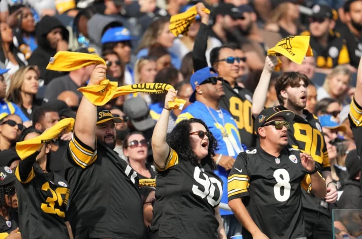 Steelers fans convinced Browns ruined playoff chances for insane reason