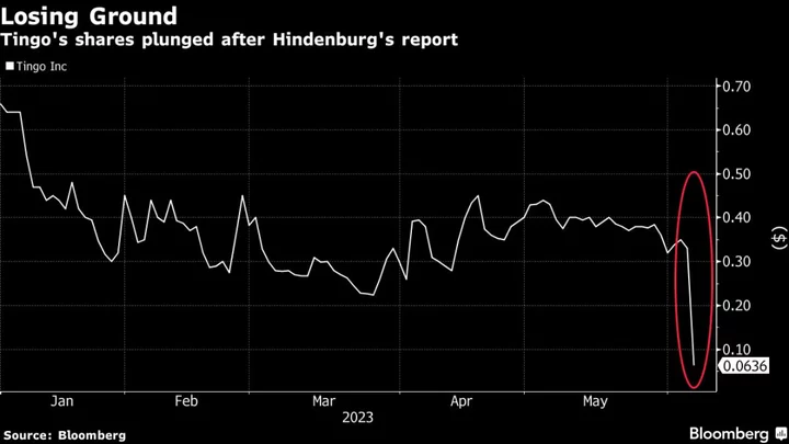 Hindenburg-Hit Tingo Lost 94% of Value in 16 Months Before Short-Seller Call