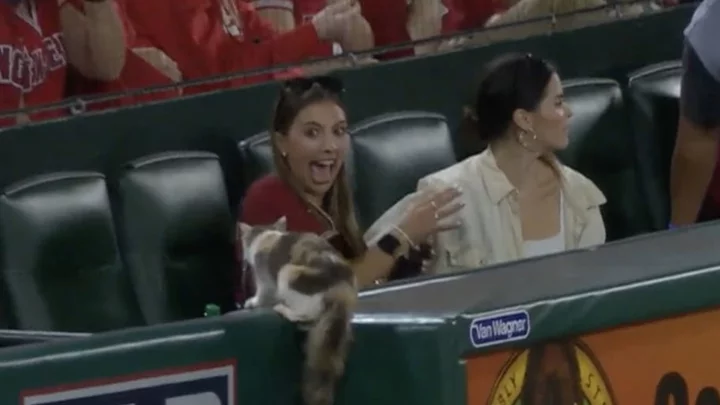 Rally Cat Scares Dominic Fletcher's Fiancée During Angels - Diamondbacks Game