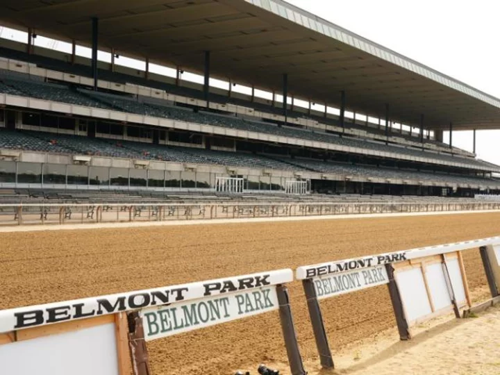 Horse dies at Belmont Park after sustaining injury during race ahead of next week's Triple Crown finale