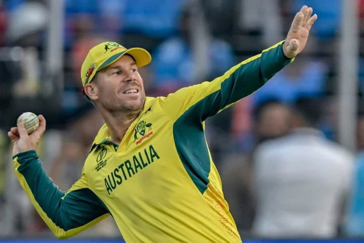 Australia's Warner out of India T20 series after World Cup exploits