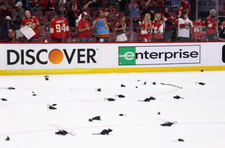 Why do Florida Panthers fans throw rats onto the ice?
