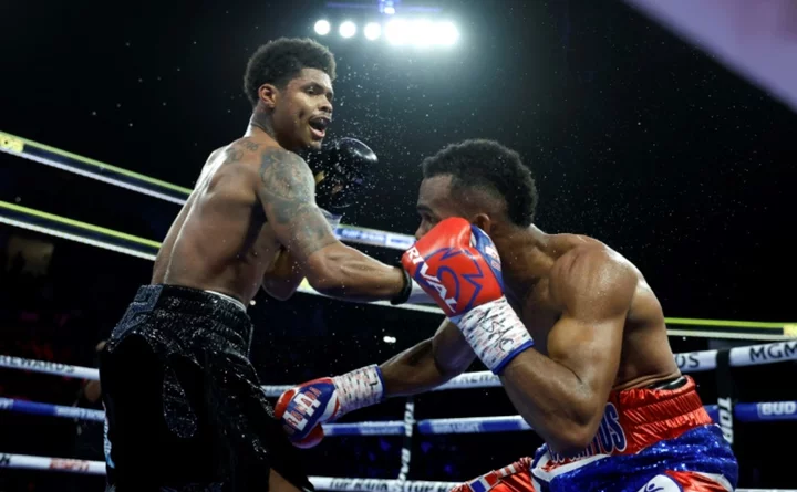 Stevenson labors to WBC lightweight crown