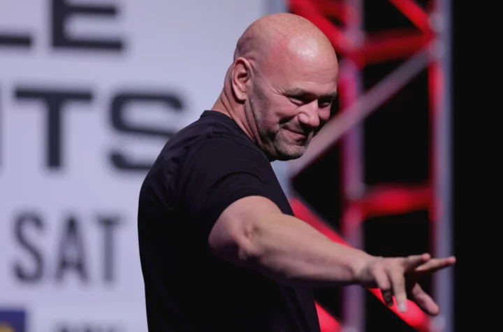 Dana White playing matchmaker between billionaires that want to beat each other up