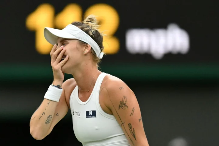 Unseeded Vondrousova reaches Wimbledon semis