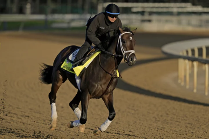 Forte is slight 5-2 favorite for Belmont Stakes over stablemate Tapit Trice