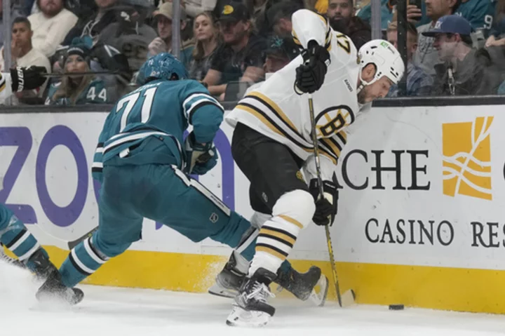 Milan Lucic is taking an indefinite leave of absence from the Bruins after an undisclosed incident