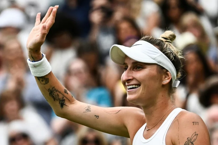 Game, set, cat: Vondrousova feline good at Wimbledon