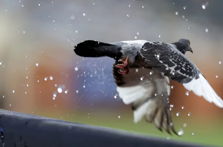 Dodgers-Mets rain delay: Weather updates for Mets game today, July 15