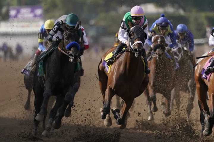 Del Mar to host Breeders' Cup in 2025