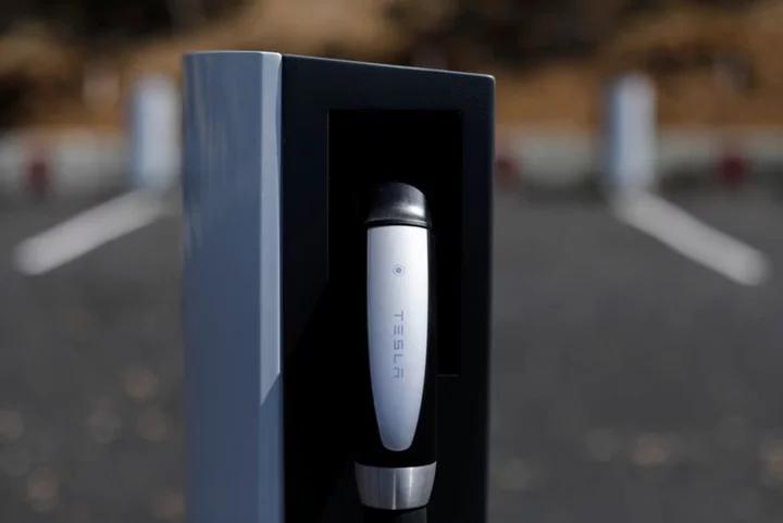 Exclusive-Tesla standard: BTC Power joins move to add to EV chargers